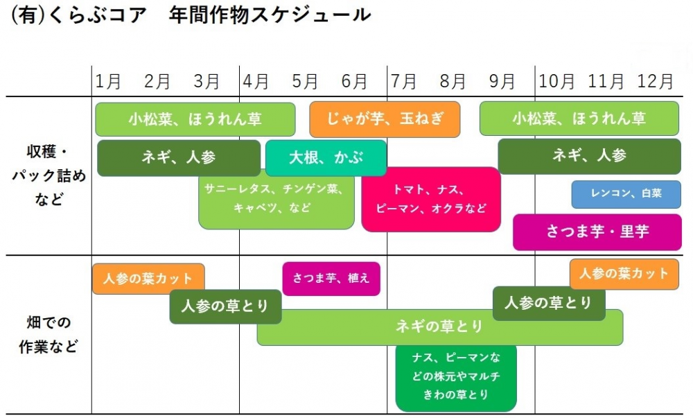 【農業を体感してみませんか?】季節ごとのオーガニック野菜の栽培