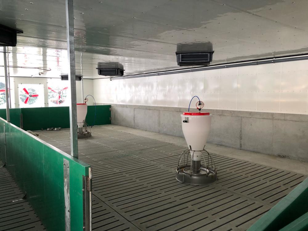 常陸大宮駅より車で10分!規模を拡大した養豚農場で豚の飼育・管理をしてみませんか?