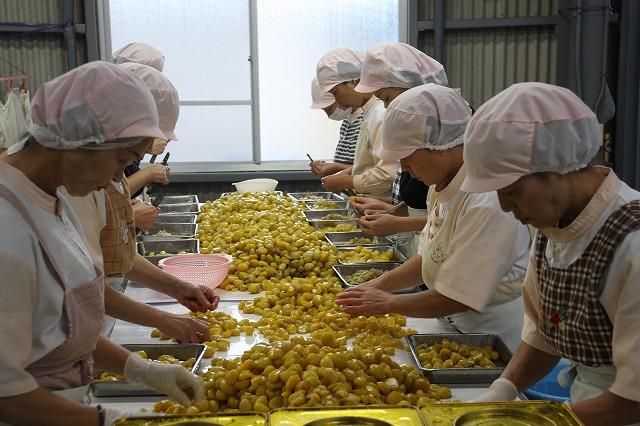 「いわまの栗」／食品製造加工　正社員　※女性も多数活躍中！