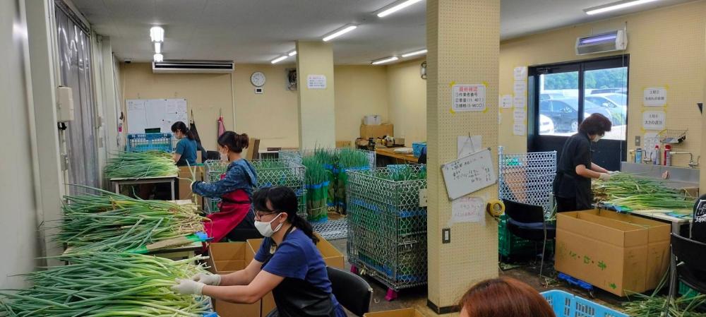 生産管理(現場担当者)